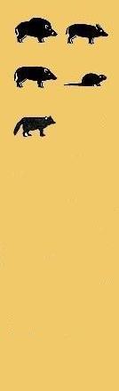 Na co polujemy w bie��cym miesi�cu